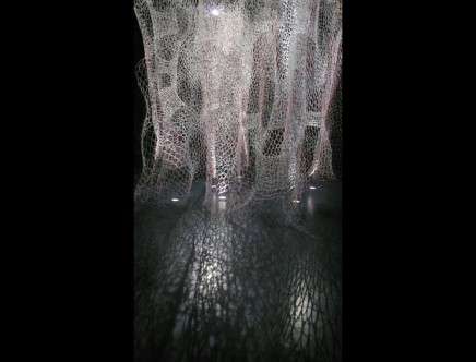 suckerPUNCH branching morphogenesis d