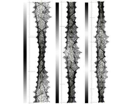 typological silk stretching c