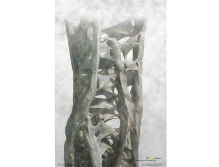 typological silk stretching d