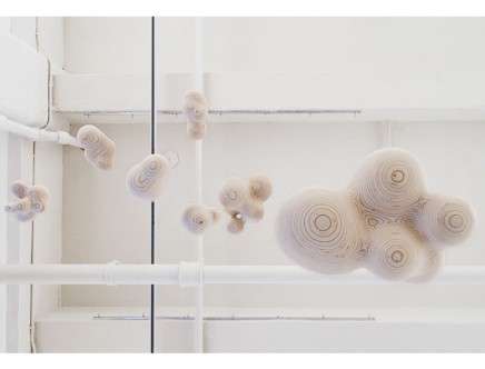 SOFTlab-interview-b