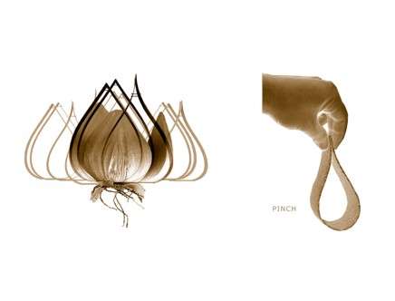 onion-pinch-a