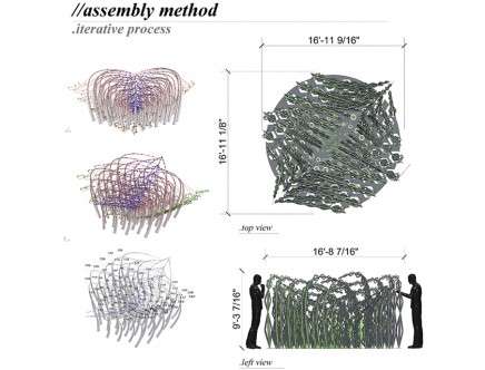physys d