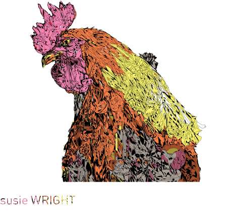 various birds