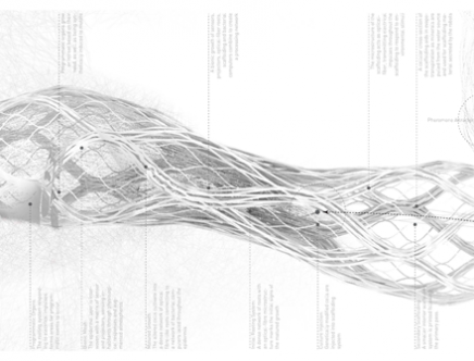 Biophilia_d