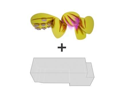 Diagram