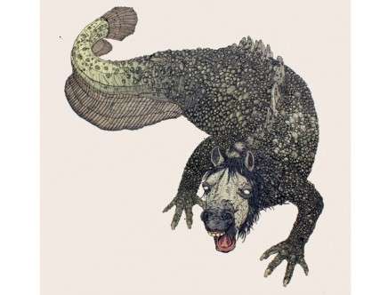 preemptive evolution b