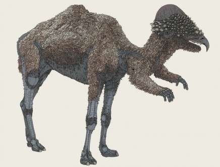 preemptive evolution d