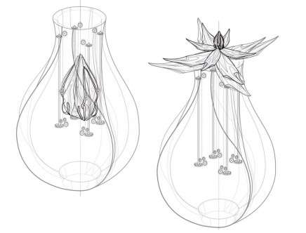Solar_Flowers-9b