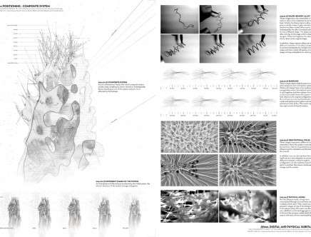 sadic(t)ropisms_ 01