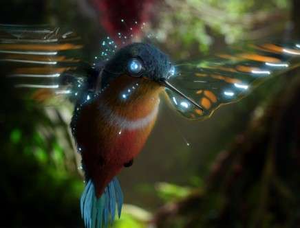 A Whole New Species Is Born