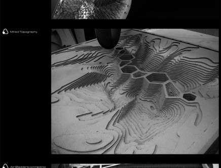 hispid9