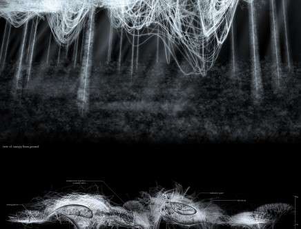 locus; ethereal empirica_Page_10_WEB