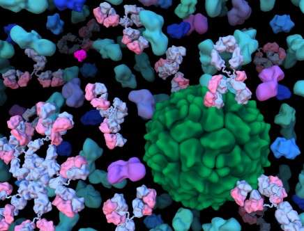 BioMolecular Self-Assembly Applications