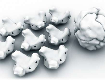 BioMolecular Self-Assembly 02