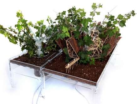 Phytopia, pablo ZUNZUNEGUI