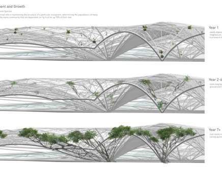 Symbiotic Vaulting: Libreville International Airport