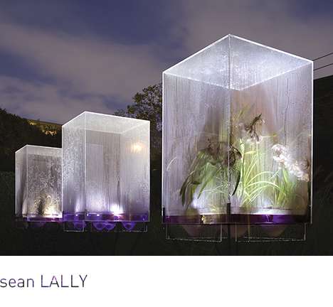 sean LALLY