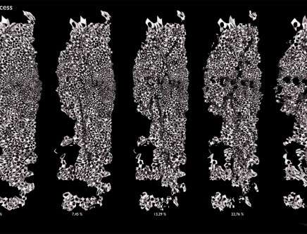 Convoluted Corrosion M[C]2