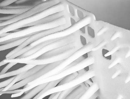 infObjects, close up of roots. SHAPES iN PLAY.