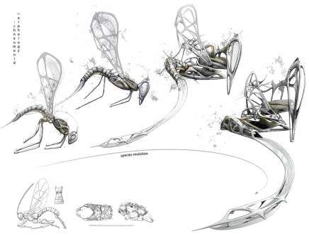 Herwig SCHERABON, Ichneumonid: Subversive Parasitic Architecture. Morphology.