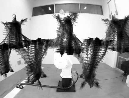 Peter VIKAR & Al ATAIDE, "Flight Forms."