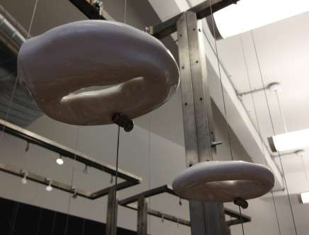 Harrison Atelier, Installation 1 blastocyst lyre preview. Photo: Ariane Harrison.