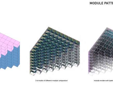 KOSGORON & SAUSINA, "Fractal Projections." Module pattern variation.