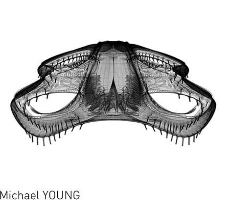 Michael YOUNG