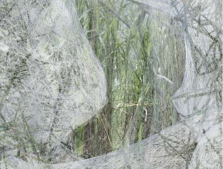 Pablo COSTA FRAIZ with Matt MILLER, "No heimat for you." Fragment.