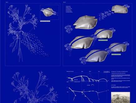 Jonas BRAOUDÉ, "The Last Wilderness." Notice scenario (growth process).