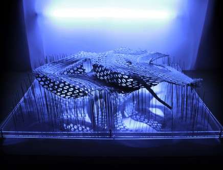 Jonas BRAOUDÉ, "The Last Wilderness." Mangrove forest (converted), physical model.
