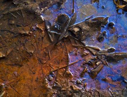 Melissa ANDERSON, "Water Contamination."