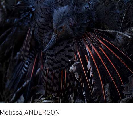 Melissa ANDERSON, Water Contamination