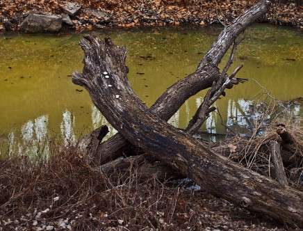 Melissa ANDERSON, "Water Contamination."