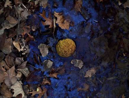 Melissa ANDERSON, "Water Contamination."