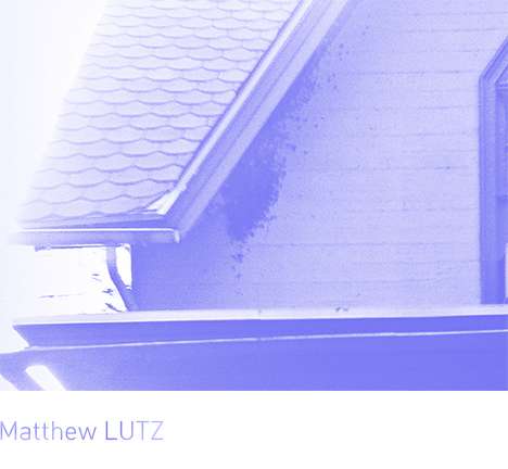Bees on a house. Image courtesy the author.