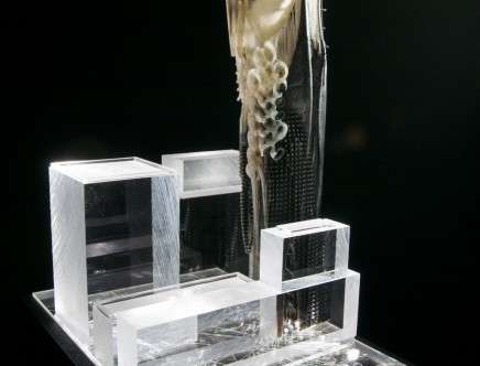 Joanna PAWLAS, "Sonic Morphologies." Model.