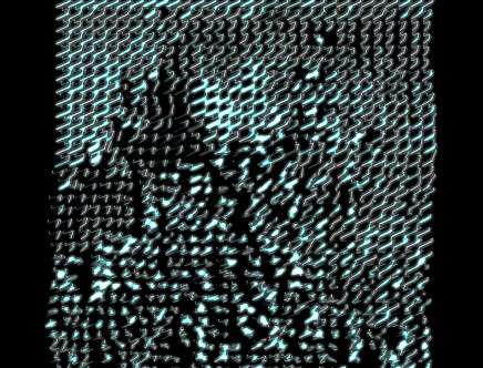 Alex WOODHOUSE, "Shadow Traceries."