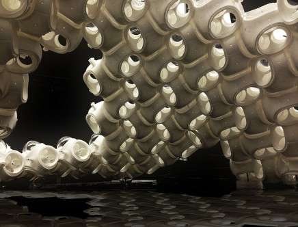 Balls 2 the Wall, "MorphoLOGIC."