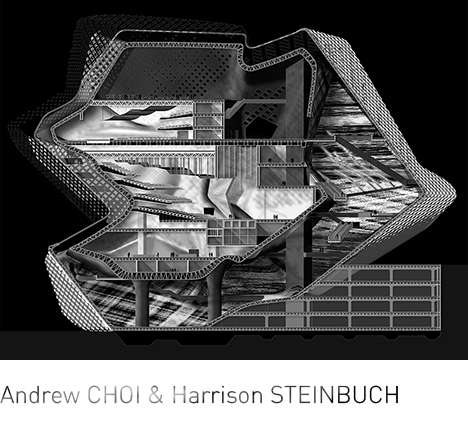 CHOI & STEINBUCH, Visceral Painterly: Shadows Refine Form. Section.