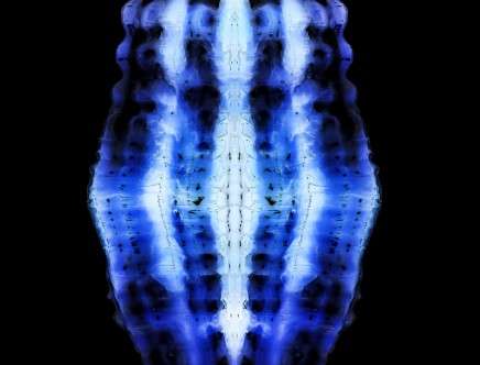 Jorge AYALA, "Physical Torso." Image courtesy Jorge AYALA / [Ay]A Studio.