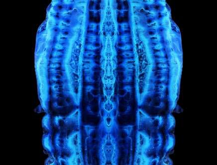 Jorge AYALA, "Physical Torso." Image courtesy Jorge AYALA / [Ay]A Studio.