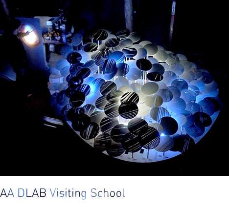 AA DLAB Visiting School, Light Forest.