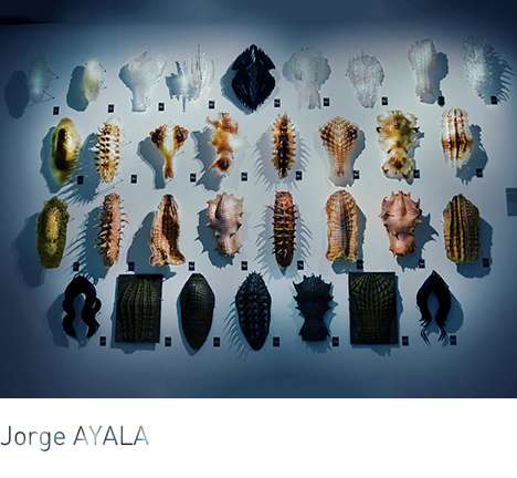 Jorge AYALA, "Cabinet of Post-digital Curiosities." Image courtesy Jorge AYALA / [Ay]A Studio.