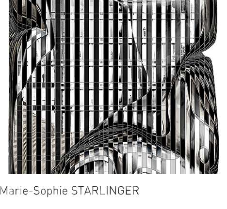 Marie-Sophie STARLINGER, "Naked." Elevation, detail.