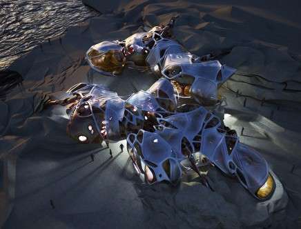 WEISER, TEMPLETON, BUSMIRE, & LEMLEY, "Molt." Birds-eye perspective at night.