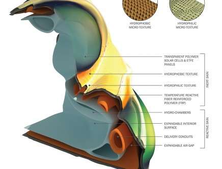 Tarika THIENAPIRAK & Fanny VARGA, "Exquisitely Exuviated." Diagram.