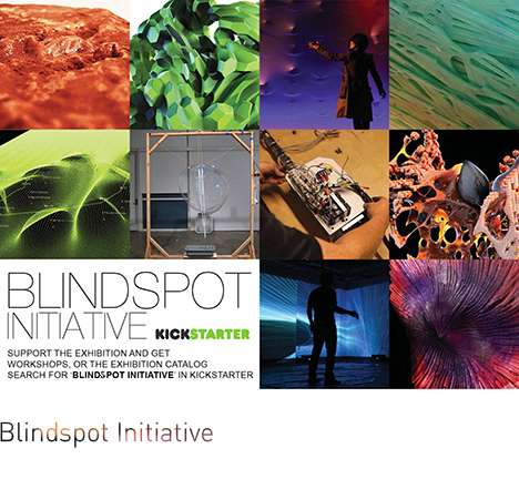 Blindspot Initiative.
