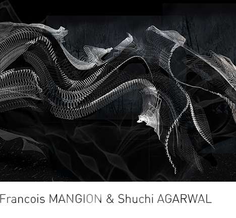 Francois MANGION & Shuchi AGARWAL, "Synaesthetic Museum."
