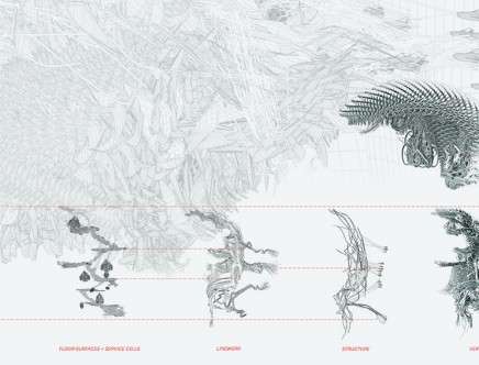Eduardo CASTAÑEDA & Aleksandra BUJAK, "Cleithrophobia House." Diagram.